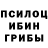 Псилоцибиновые грибы Cubensis Dr. Niknok