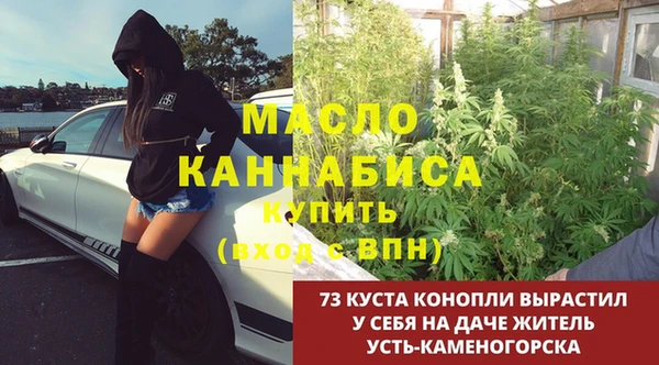 индика Белоозёрский