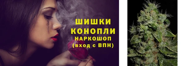 ешки Белокуриха