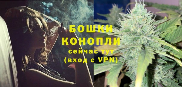 индика Белоозёрский