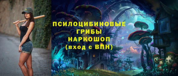 индика Белоозёрский