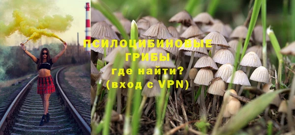 индика Белоозёрский