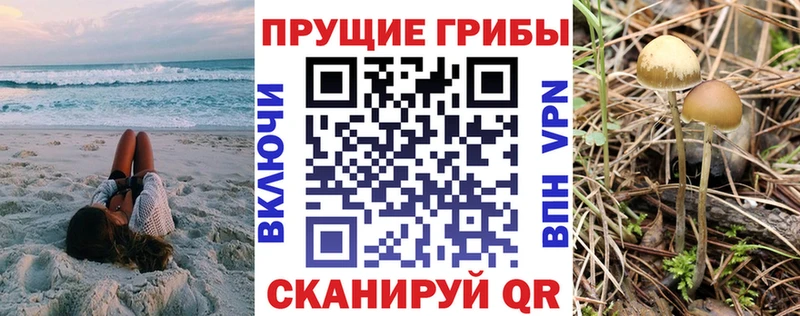 Псилоцибиновые грибы мицелий  Окуловка 